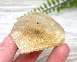 Lodolite / Garden Quartz Freeform #10