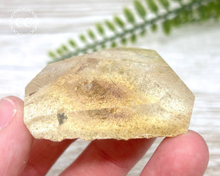Lodolite / Garden Quartz Freeform #10