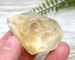 Lodolite / Garden Quartz Freeform #10