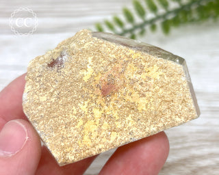 Lodolite / Garden Quartz Freeform #10