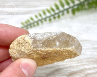 Lodolite / Garden Quartz Freeform #10