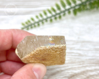 Lodolite / Garden Quartz Freeform #10