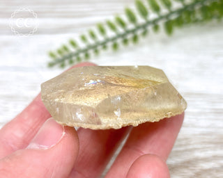 Lodolite / Garden Quartz Freeform #10