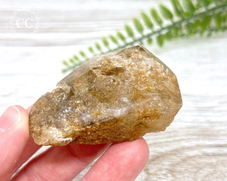 Lodolite / Garden Quartz Freeform #5