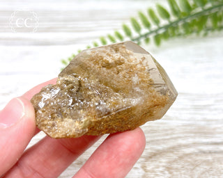 Lodolite / Garden Quartz Freeform #5