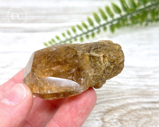 Lodolite / Garden Quartz Freeform #5