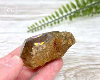 Lodolite / Garden Quartz Freeform #5