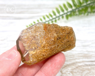 Lodolite / Garden Quartz Freeform #5