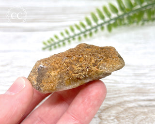 Lodolite / Garden Quartz Freeform #5