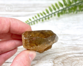 Lodolite / Garden Quartz Freeform #5