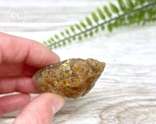 Lodolite / Garden Quartz Freeform #5