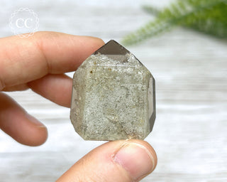 Lodolite / Garden Quartz Tower #5