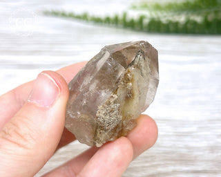 Lodolite Quartz #6