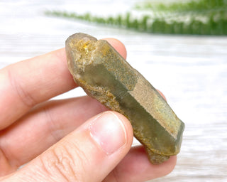 Lodolite Quartz #5