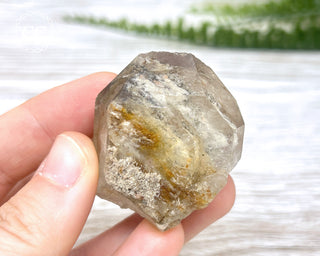 Lodolite Quartz #6
