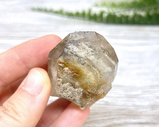 Lodolite Quartz #6