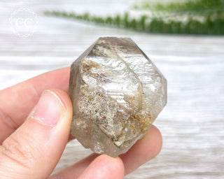 Lodolite Quartz #6
