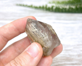 Lodolite Quartz #6