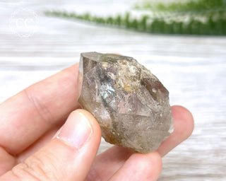 Lodolite Quartz #6