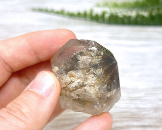 Lodolite Quartz #6