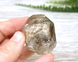 Lodolite Quartz #6