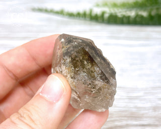 Lodolite Quartz #6
