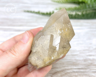 Lodolite Quartz #3