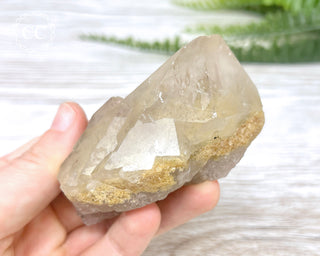 Lodolite Quartz #3