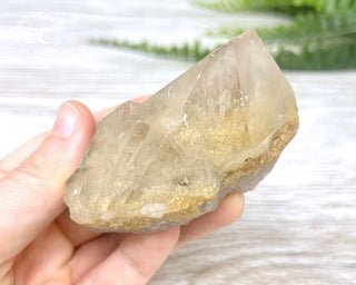 Lodolite Quartz #3