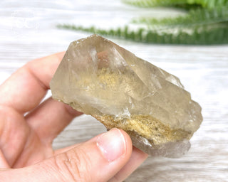 Lodolite Quartz #3