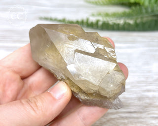 Lodolite Quartz #3