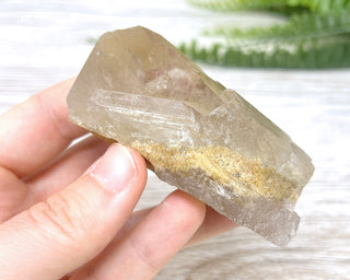 Lodolite Quartz #3