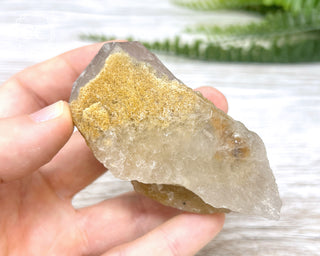 Lodolite Quartz #3