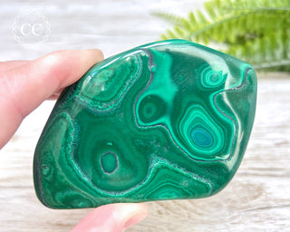 Malachite Polished Freeform #1
