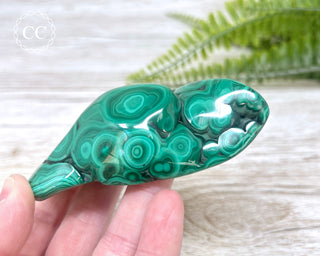 Malachite Polished Freeform #2