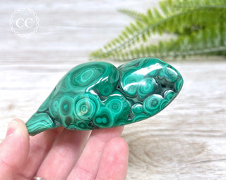 Malachite Polished Freeform #2