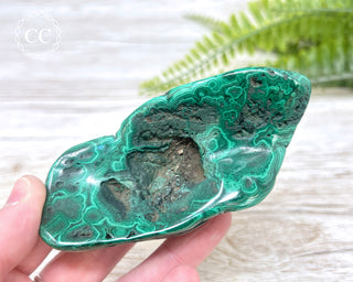 Malachite Polished Freeform #2