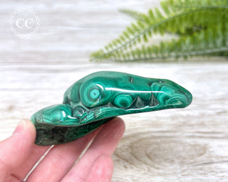 Malachite Polished Freeform #2