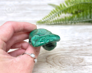 Malachite Polished Freeform #2