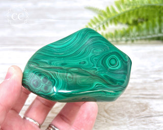 Malachite Polished Freeform #3