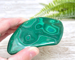 Malachite Polished Freeform #1