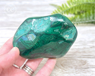 Malachite Polished Freeform #3