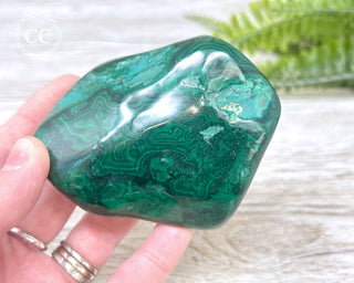 Malachite Polished Freeform #3