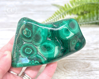 Malachite Polished Freeform #4