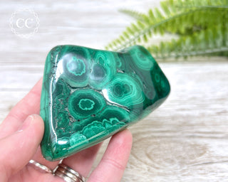 Malachite Polished Freeform #4