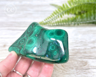Malachite Polished Freeform #4