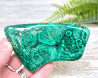 Malachite Polished Freeform #4