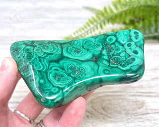 Malachite Polished Freeform #4