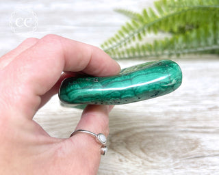Malachite Polished Freeform #4