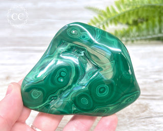 Malachite Polished Freeform #5